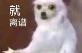 从中式庭院，到海上别墅，00后已率先实现买房自由